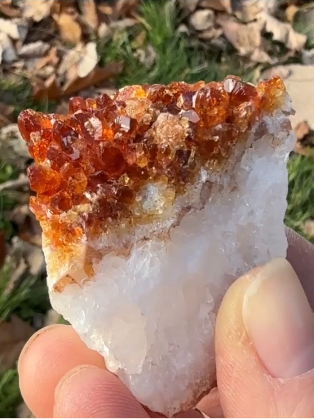 Citrine and Quartz Crystal Cluster, Wandering Bunny LLC